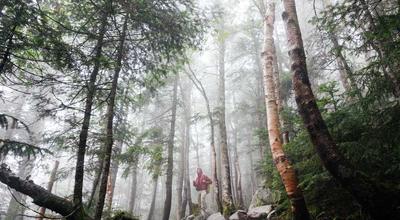 西甲国家德比前瞻，巴萨对阵皇马，西班牙足球巅峰对决